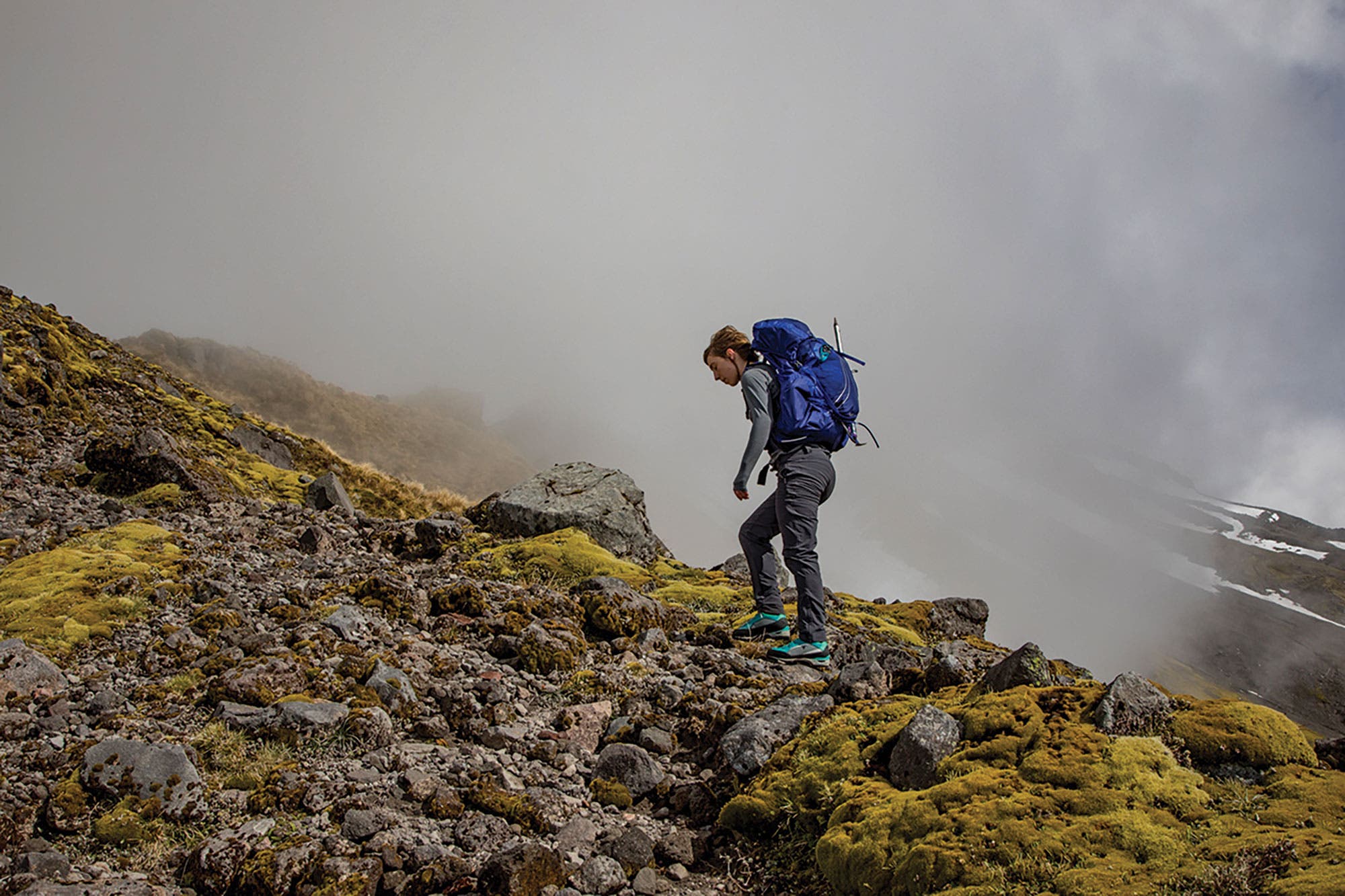 bp0119FEAT_NZ_JeremyBeckers1F6A1070 None