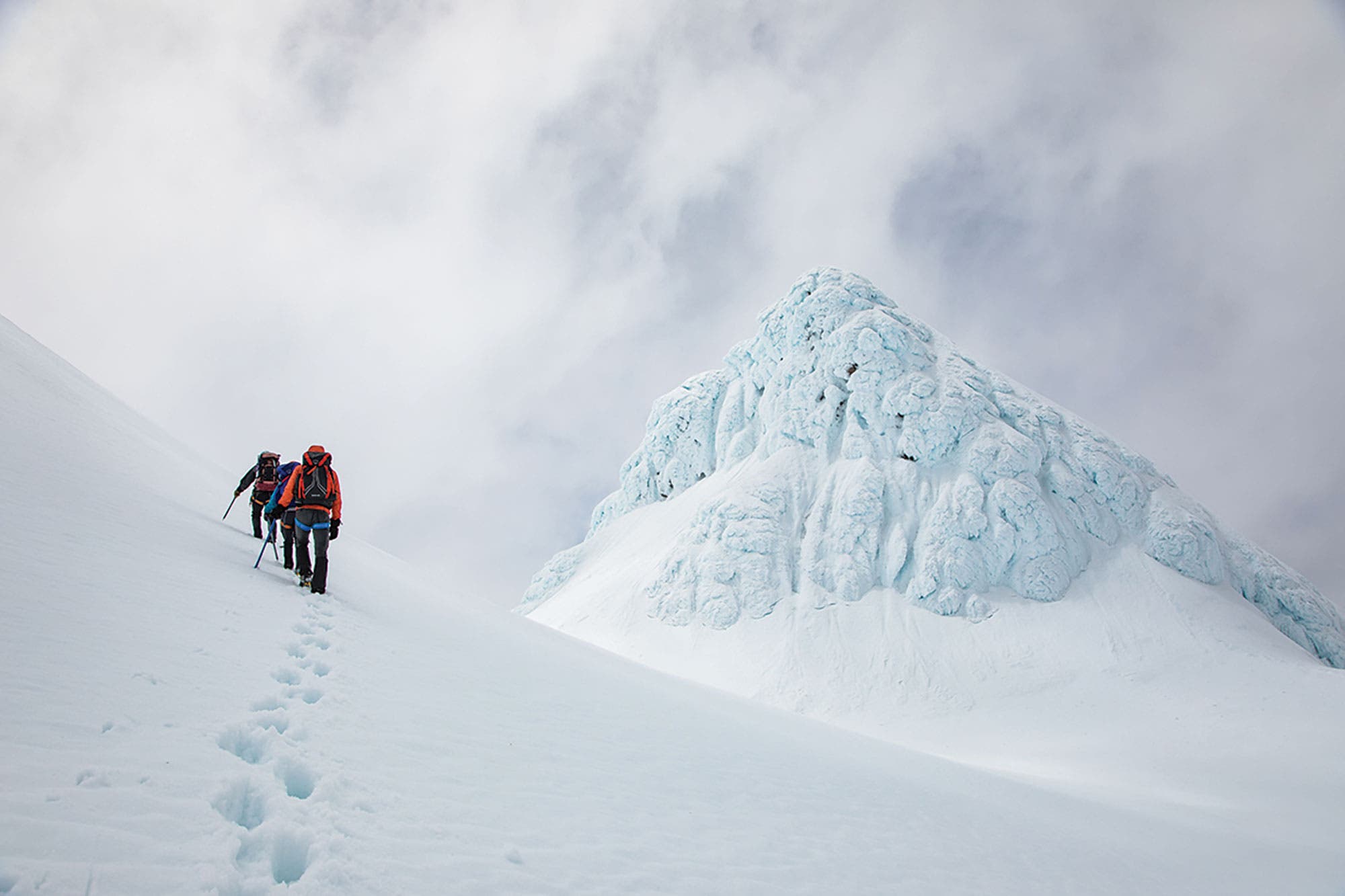 bp0119FEAT_NZ_JeremyBeckers1F6A1159 Taranaki