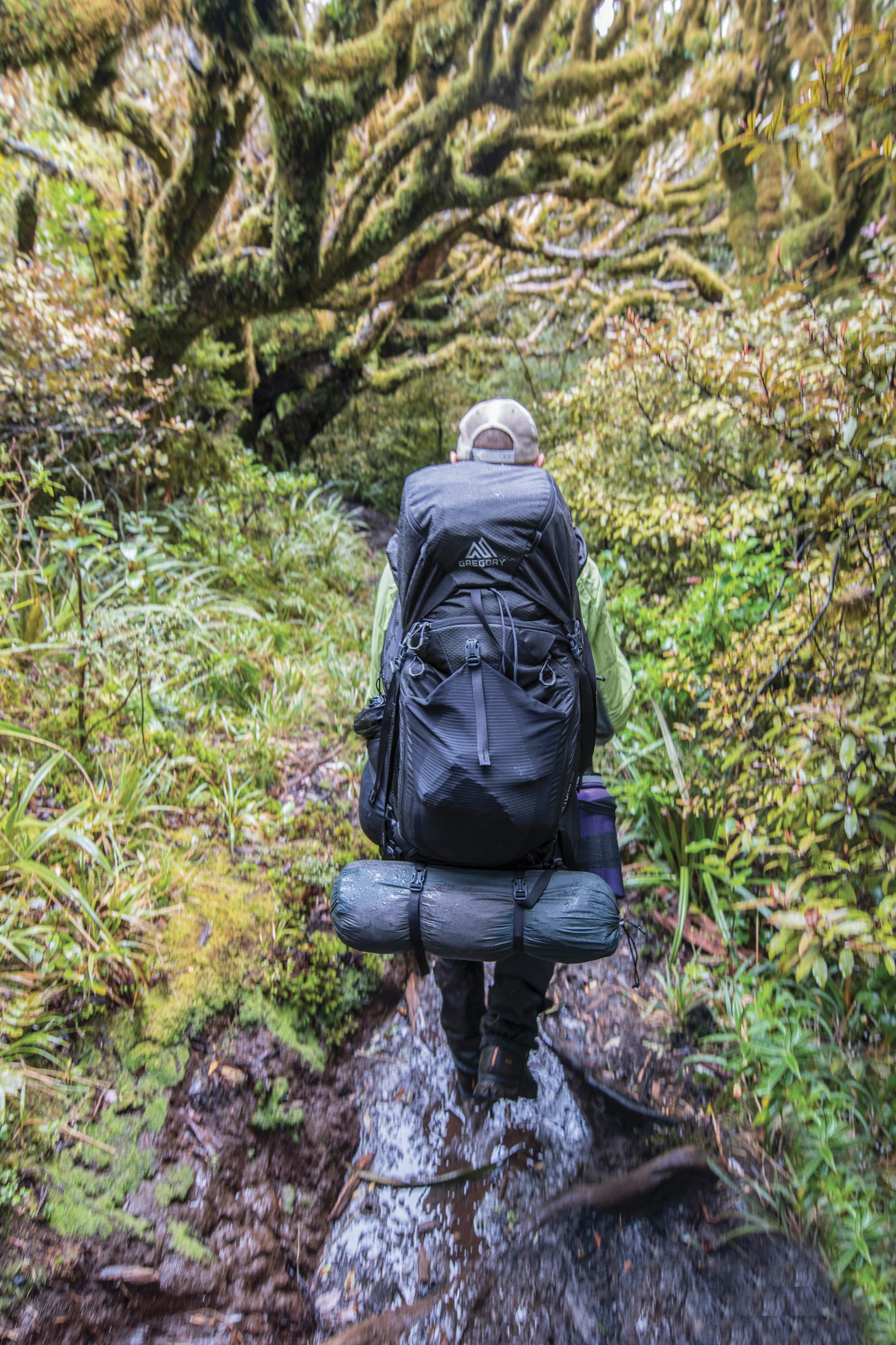 editors choice 2018 gregory backpack