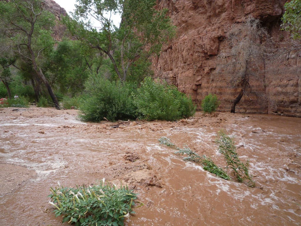 havasupai flood None