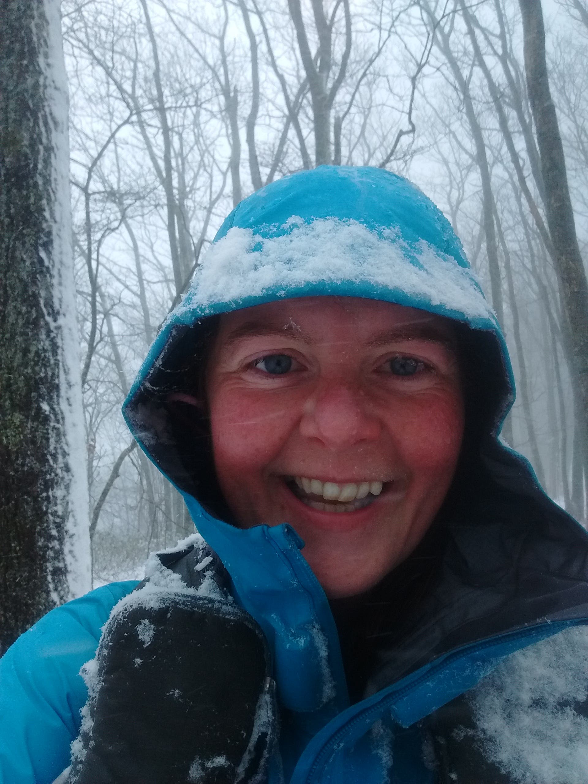 IMG_20180312_102653466 None