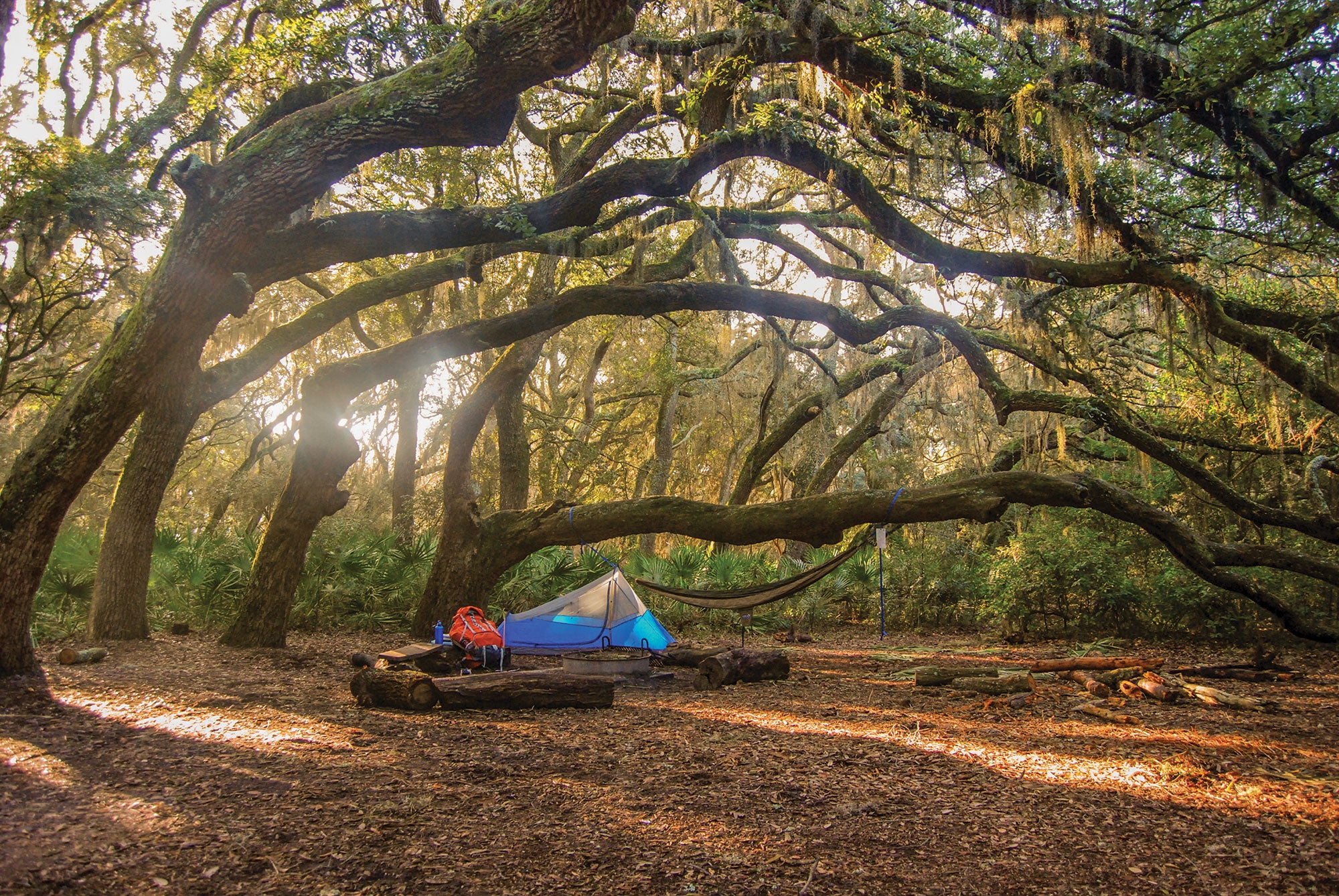 "Weekends: Cumberland Island National Park"