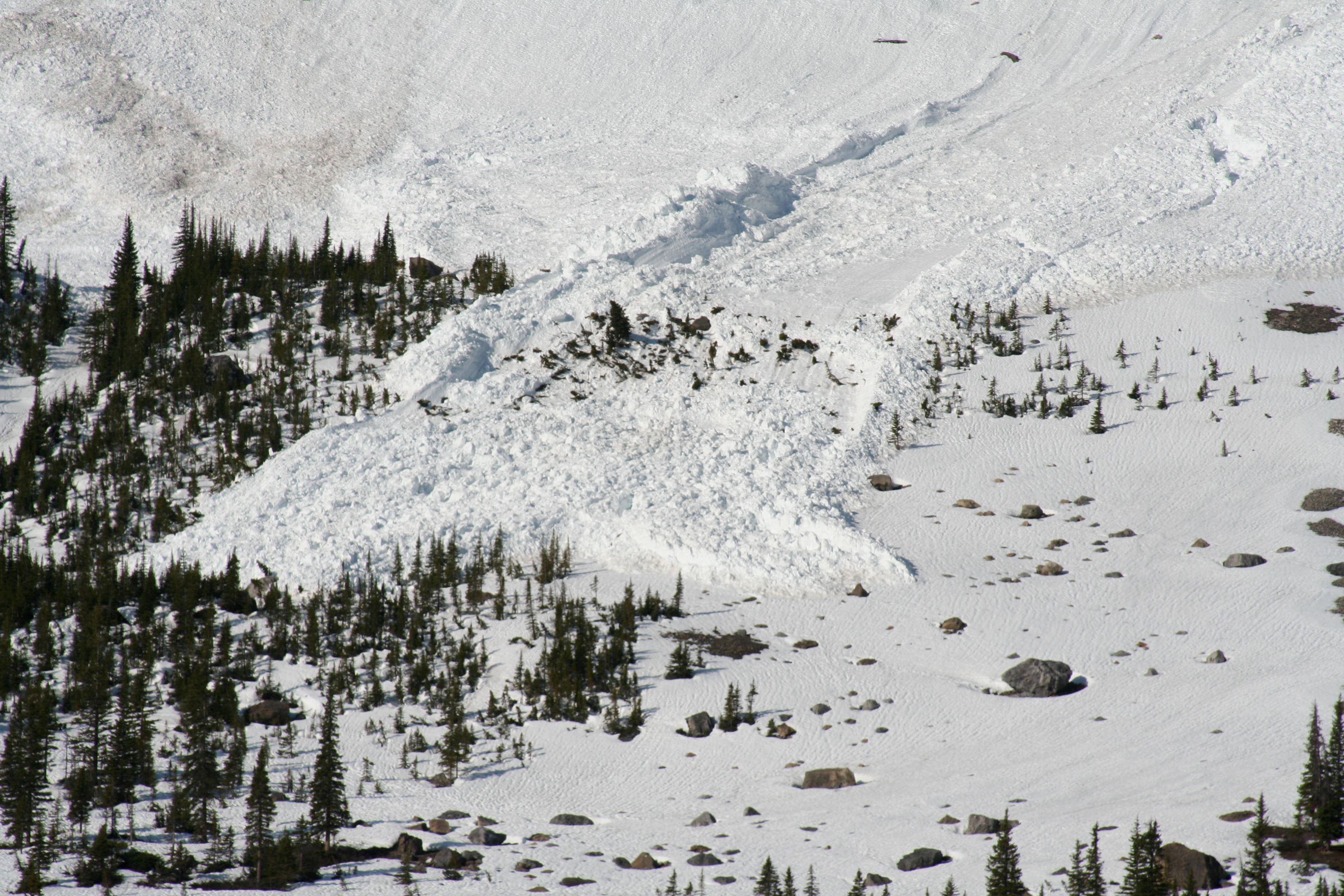 779939608_d2675c70ef_o Avalanche