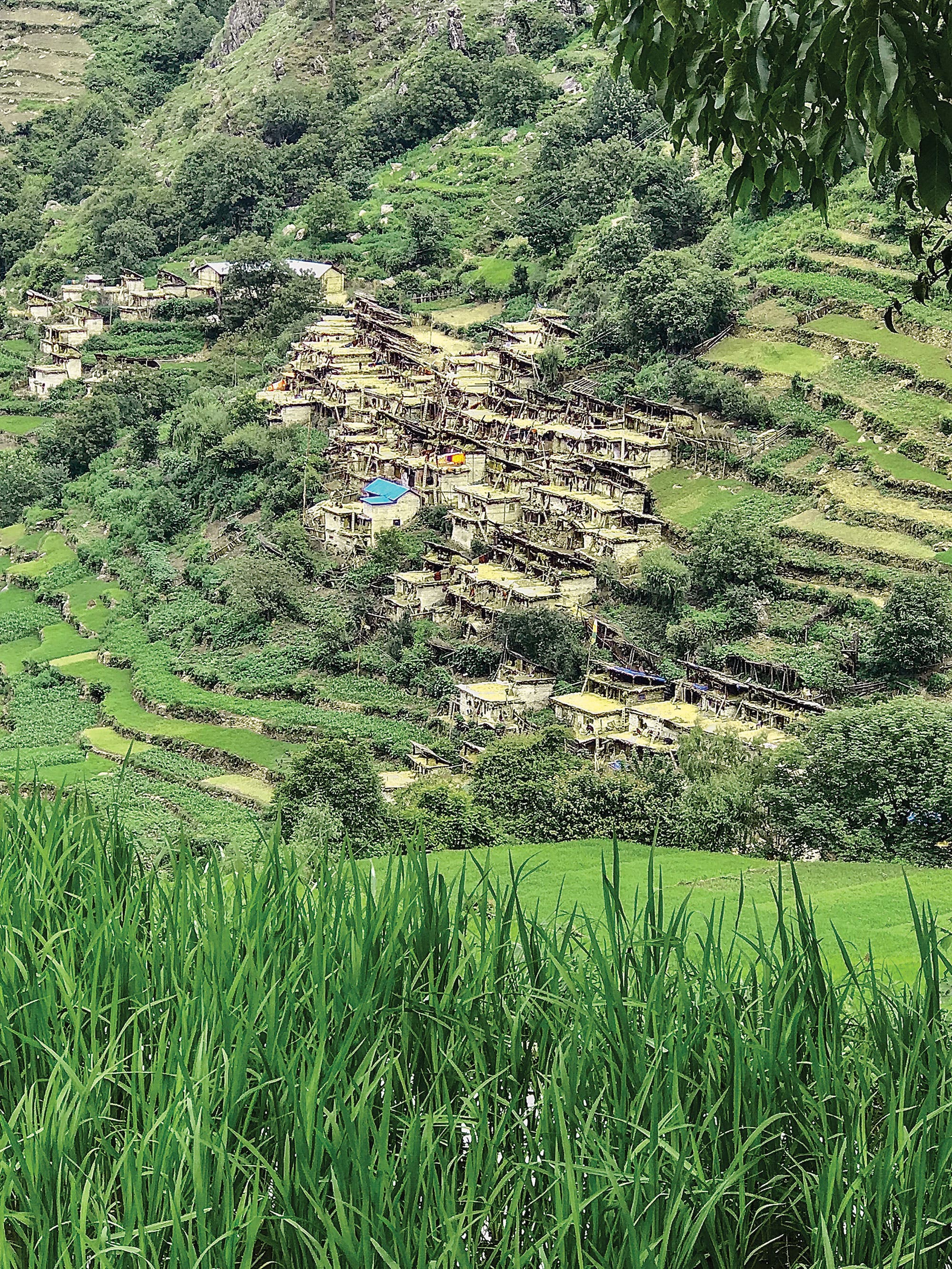 Western Nepal, Great Himalyan Trail Terraced fields around a village along the Great Himalayan Trail's final section in western Nepal.