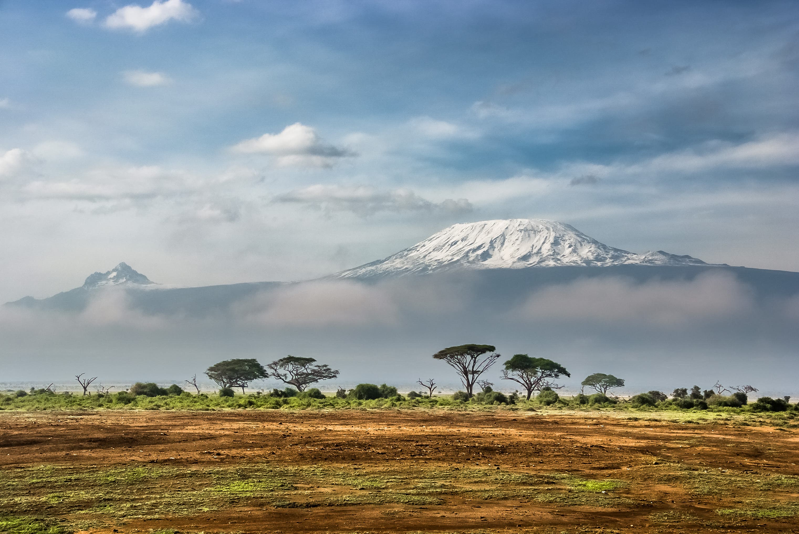 "Kilimanjaro"