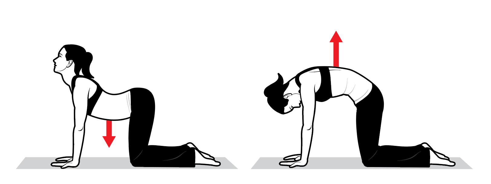 Screen Shot 2019-02-26 at 2.44.48 PM None