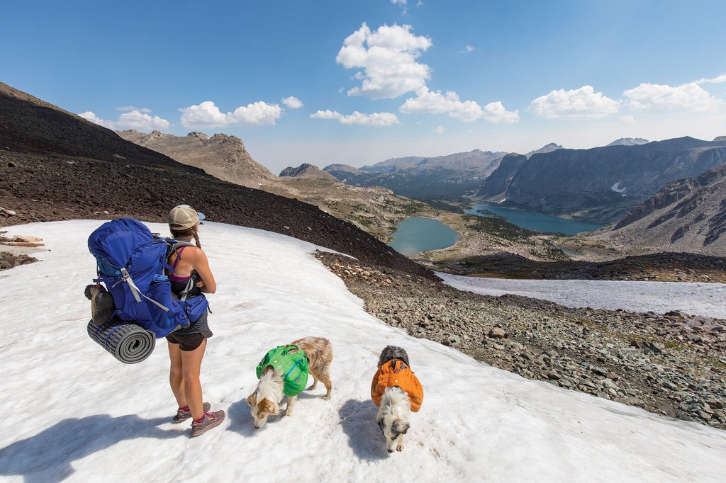 The Best Gear for Hiking With Dogs