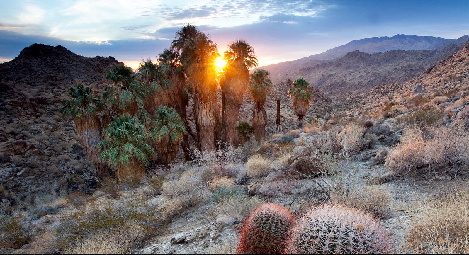 Hard Hikes: Cactus to Clouds