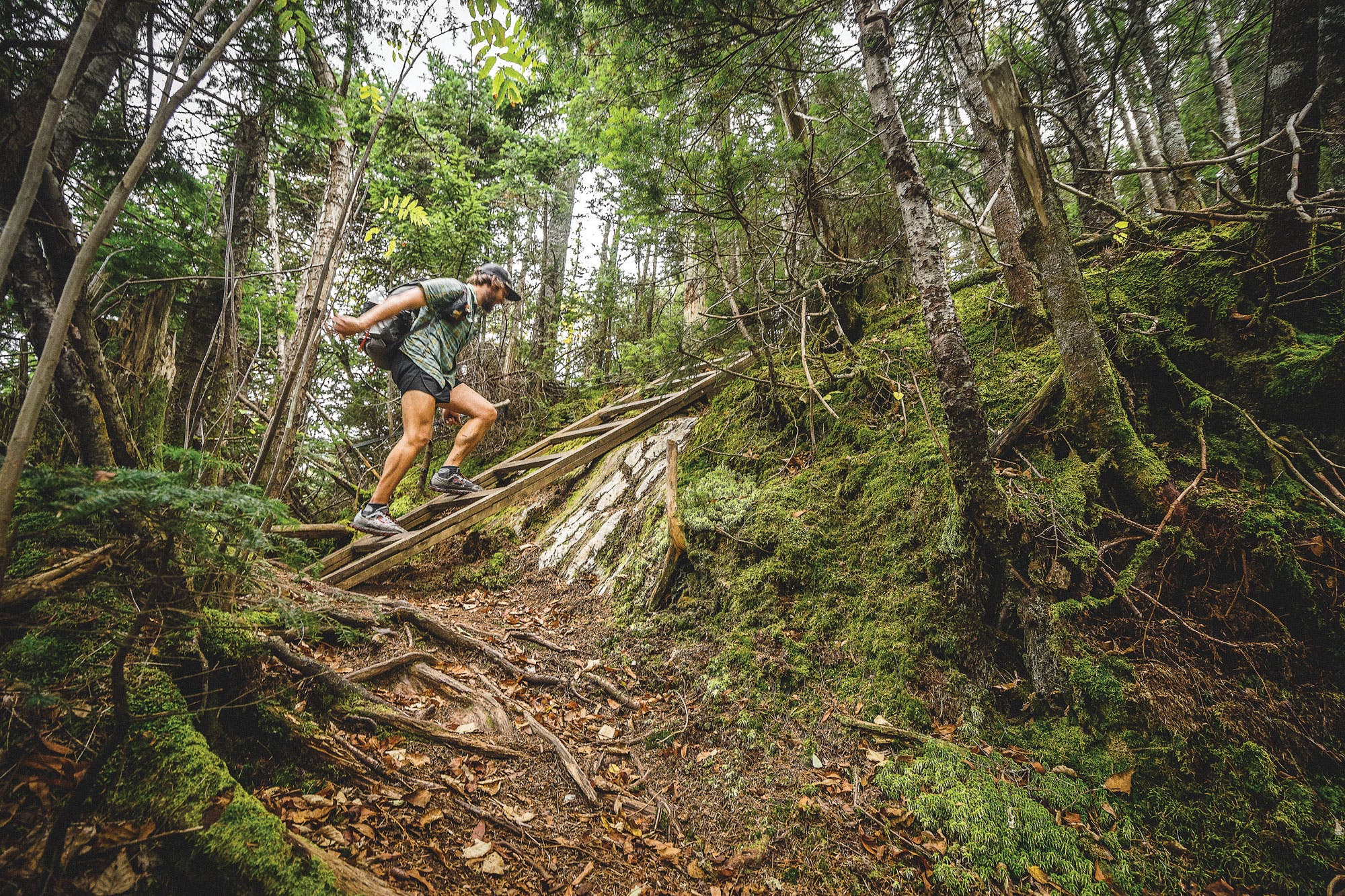 Hard Hikes: The Long Trail