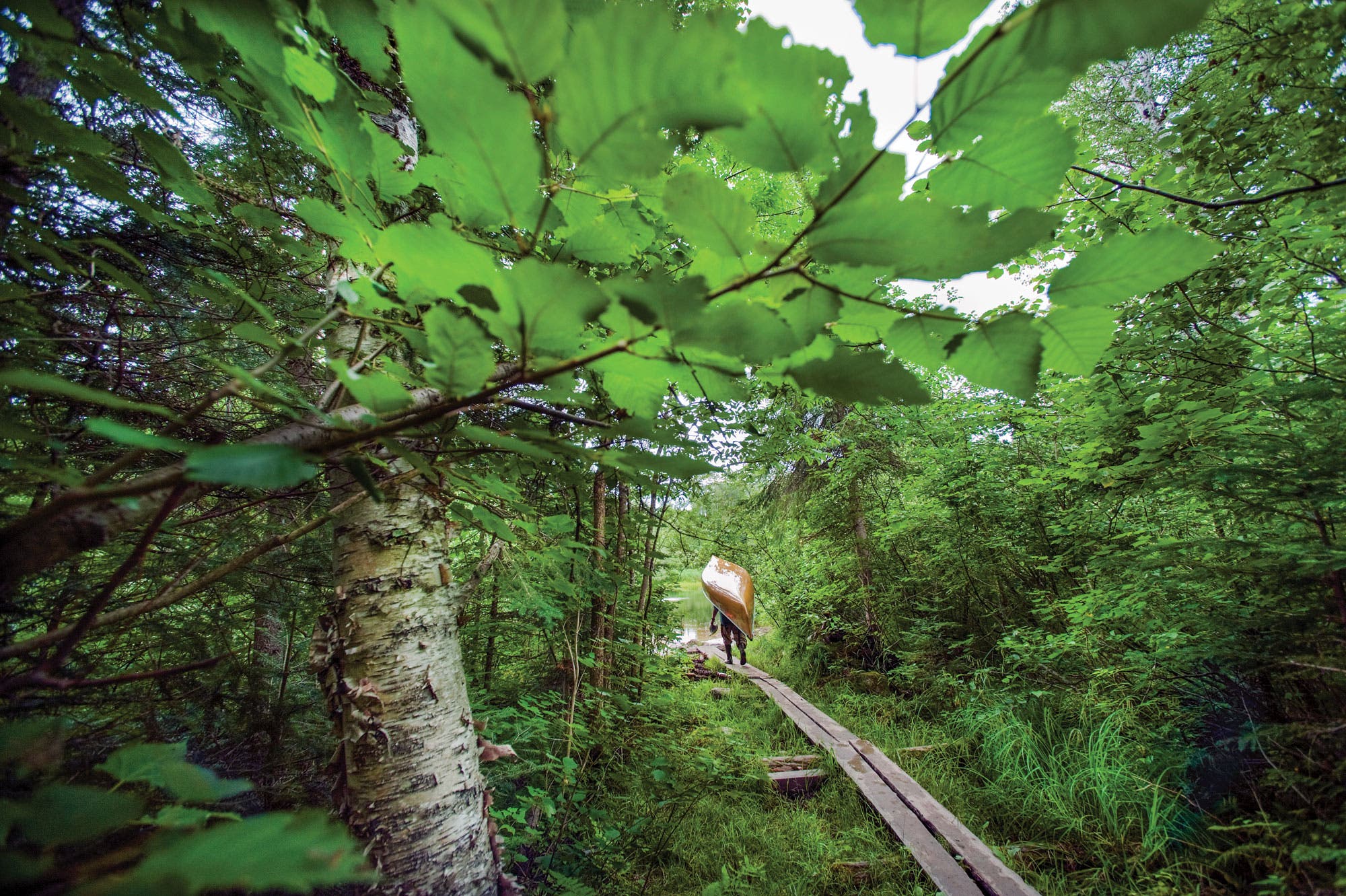 Hard Hikes: Frost River Loop