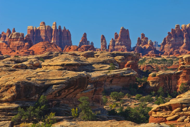 Canyonlands-Needles None