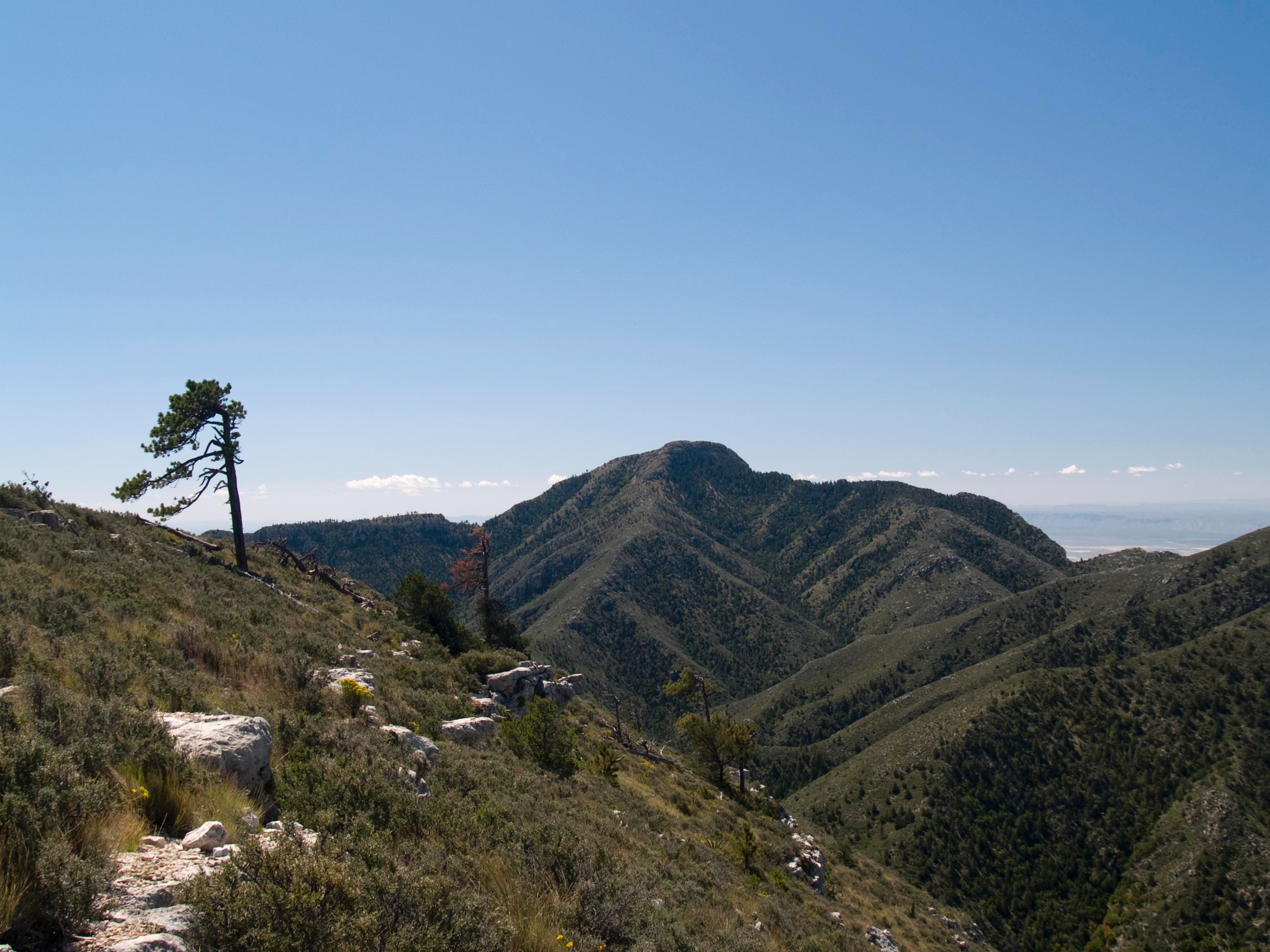 Guadalupe-Peak None