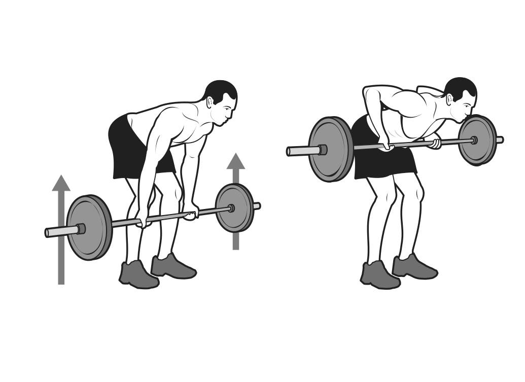 straight-bar-bent-over-row None