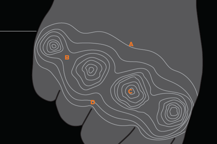 0515BP_SKILLS_Navigate None