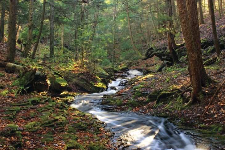 0519_Rules_Loyalsock Loyalsock Pennsylvania