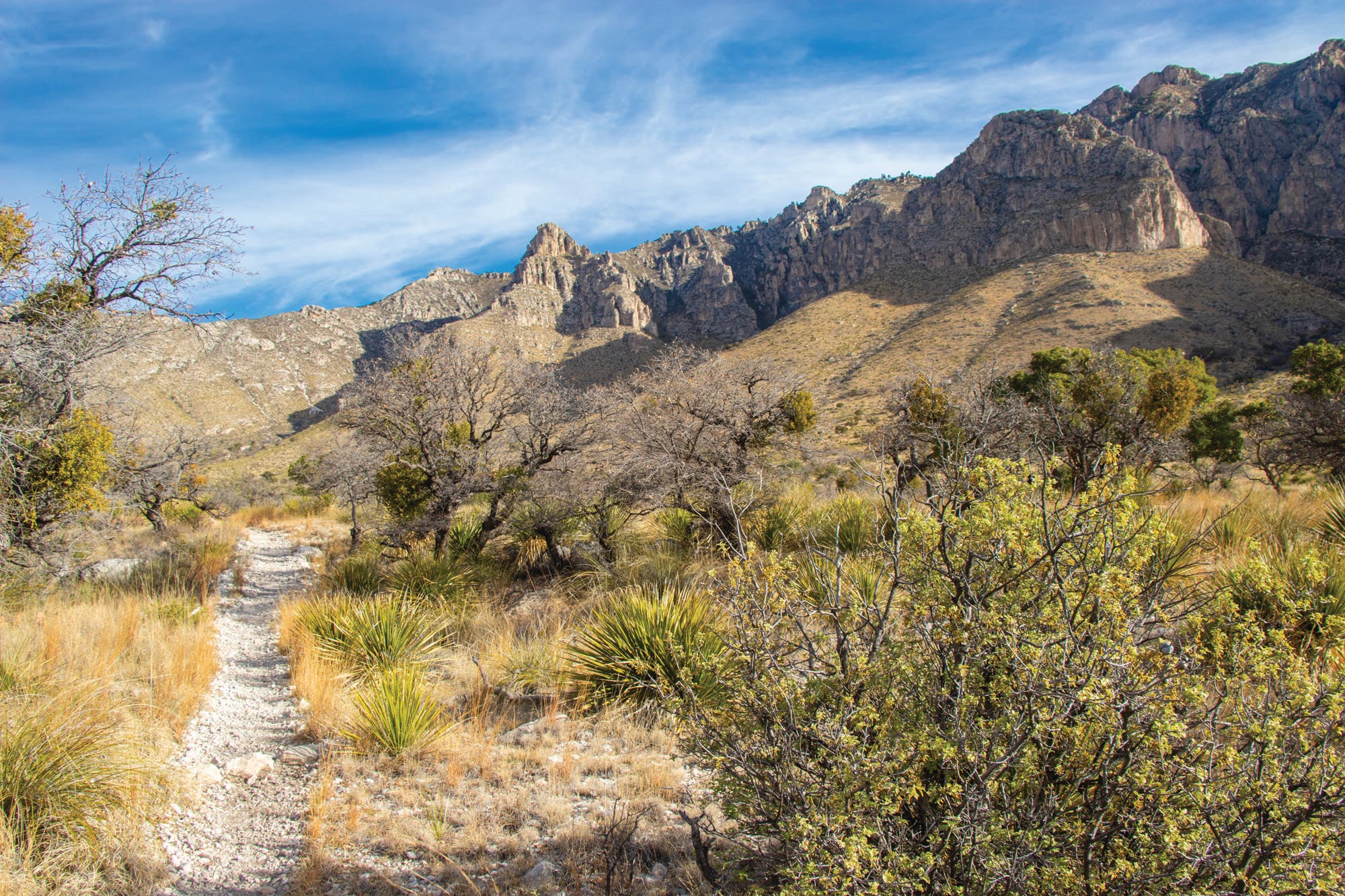 0519_Rules_SueSwindleGMNPIMG_3843 Guadalupe Mountains