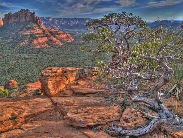 3258607760_7329e659d9_o Brins Mesa Trail