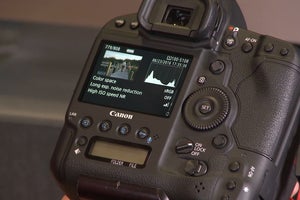 OUTDOOR PHOTO SCHOOL – HISTOGRAMS