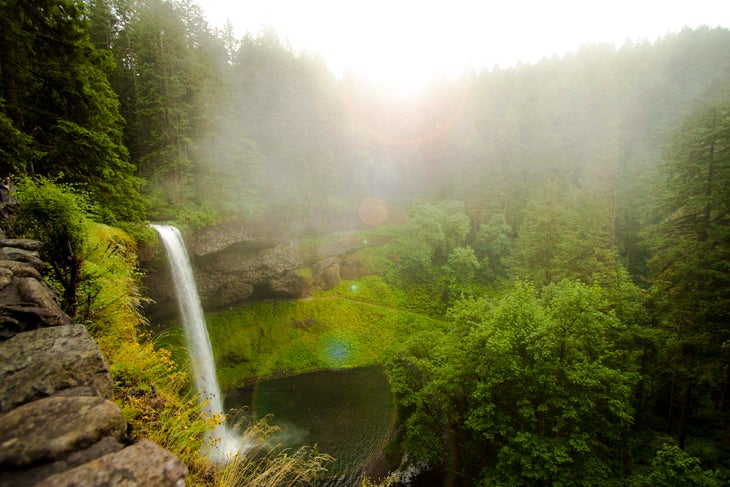 silver falls state park None