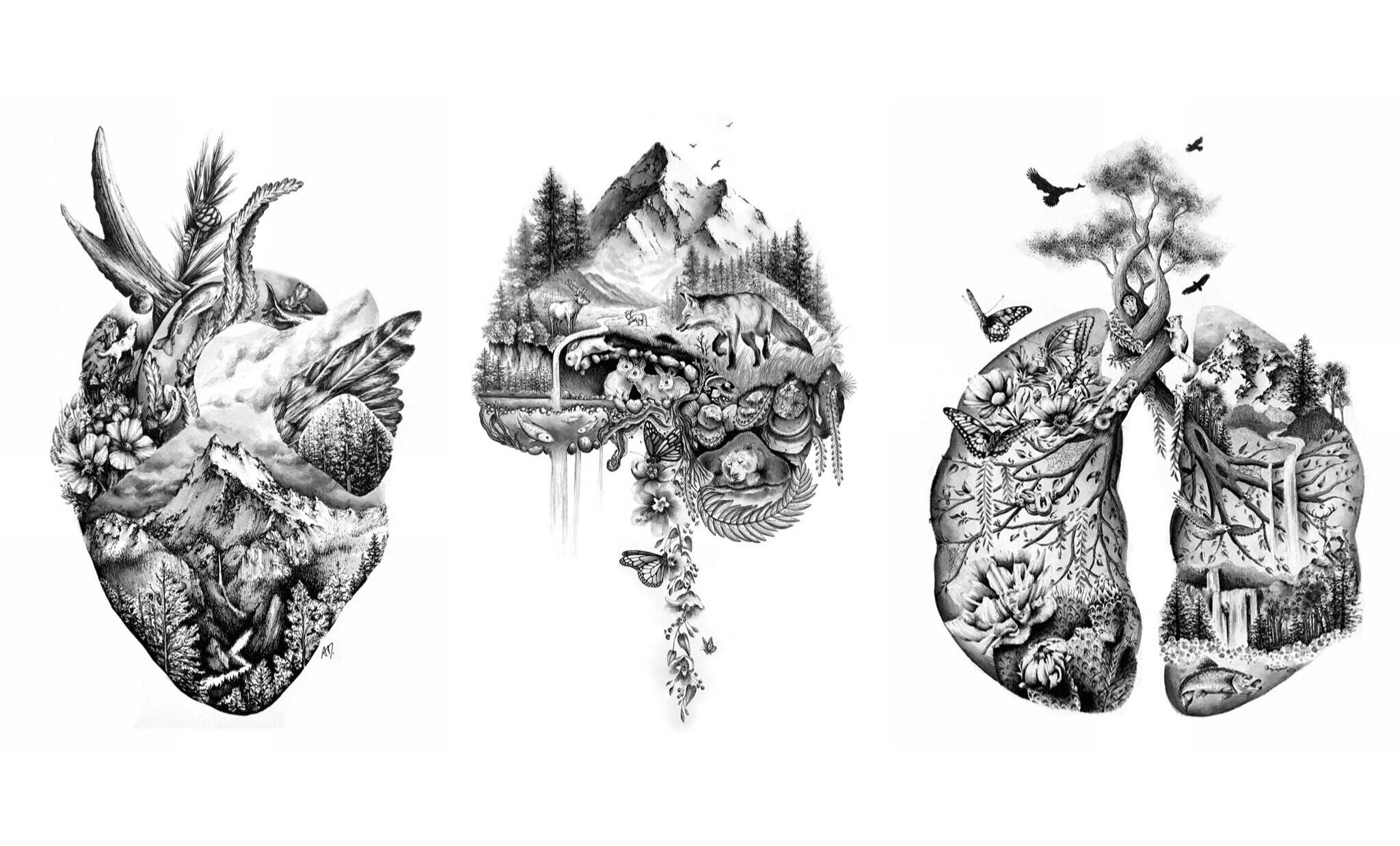 IMG_4181 - Alyse Dietel None