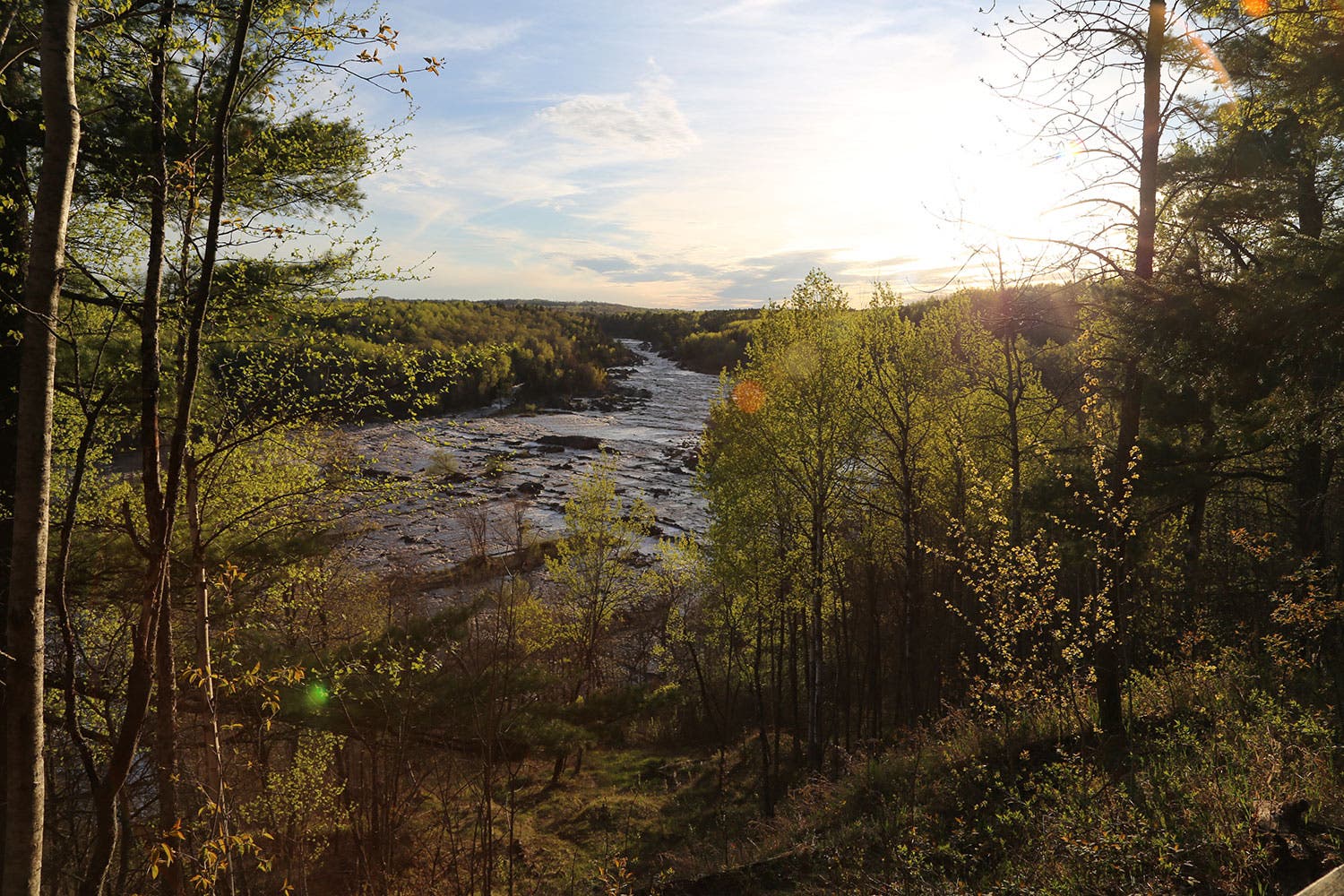 minnesota_sebestyen_2019_IMG_7824 None