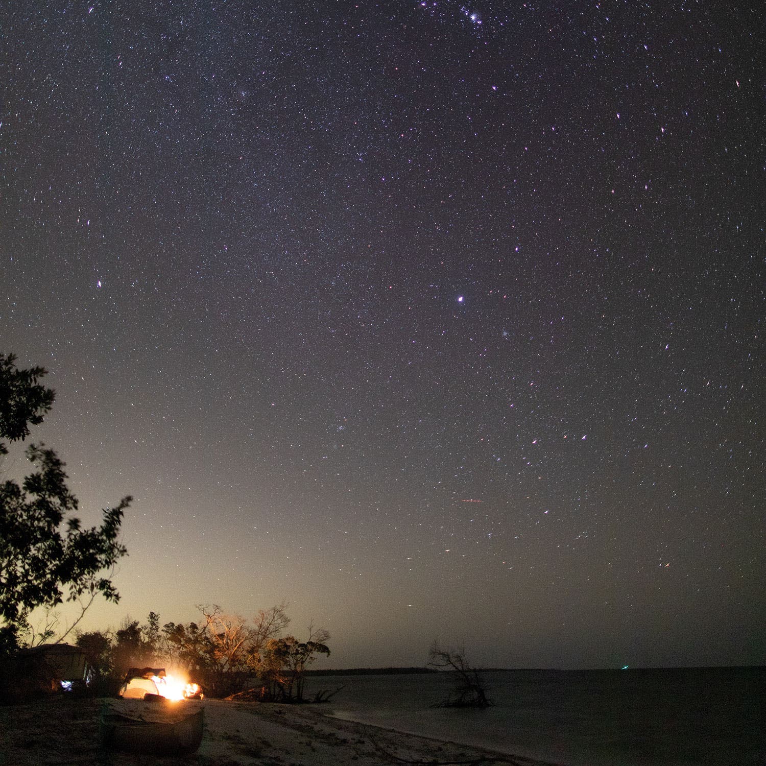 0819FEAT_STARS_RochfortCampLulu2018123110K_NWR198 None