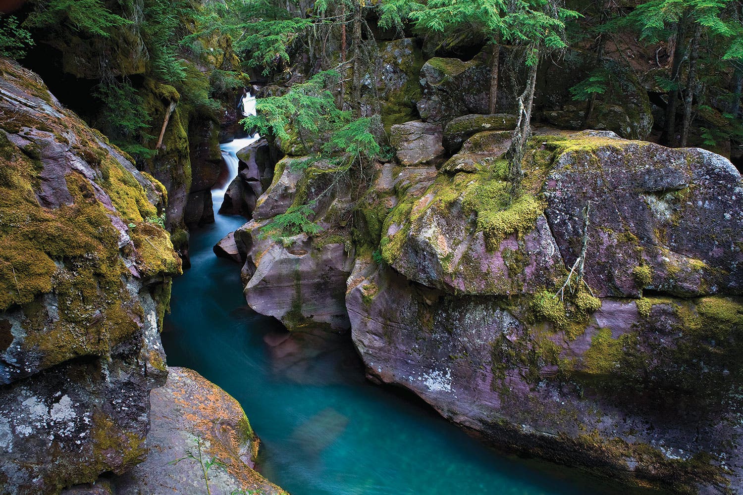 Glacier National Park