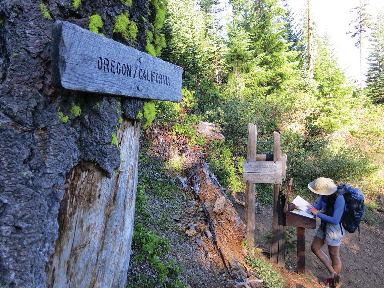 0919_PCT_IMG_0728 None