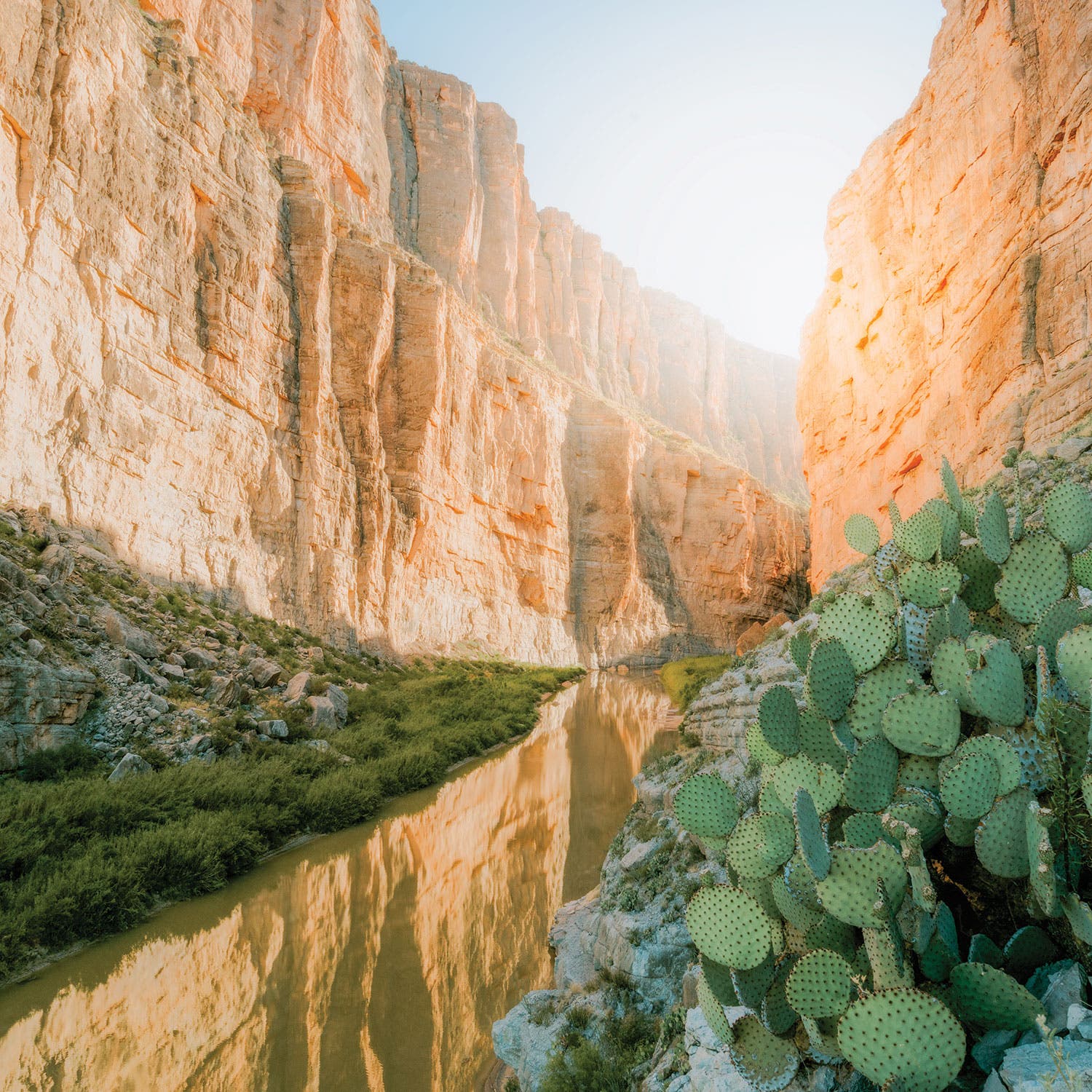 0191Play_Viewfinder_MHahnel None