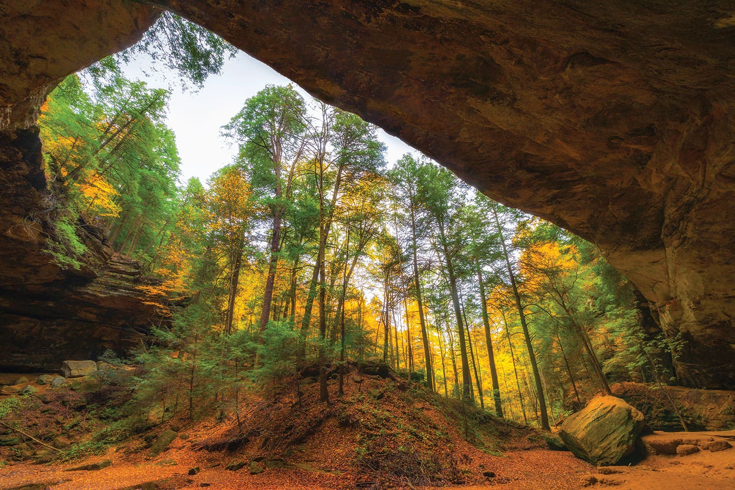 0191Play_Viewfinder_Ohios96148541_V None