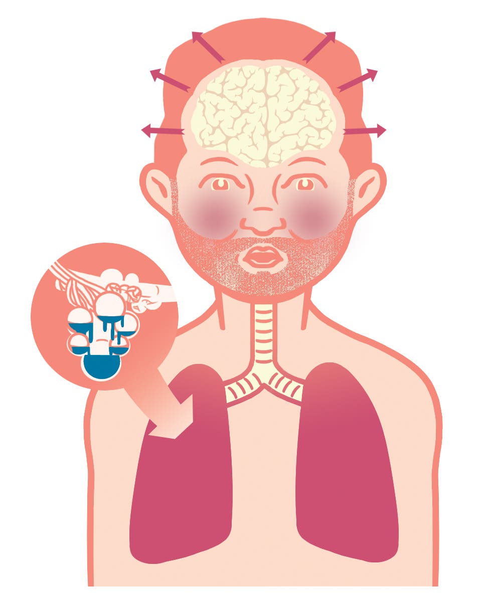 lungs-illo human body dealing with altitude changes