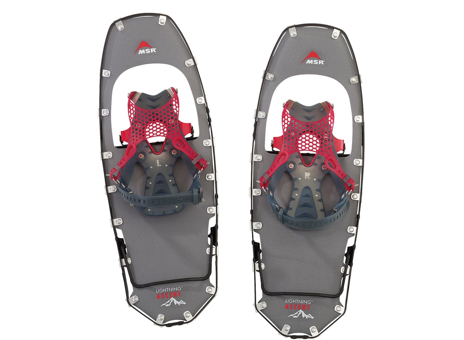 119FGG_EC_MSR_bjk None