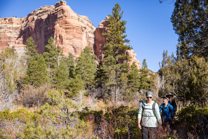 20191106_Albanese_UtahEC2019__0734 None