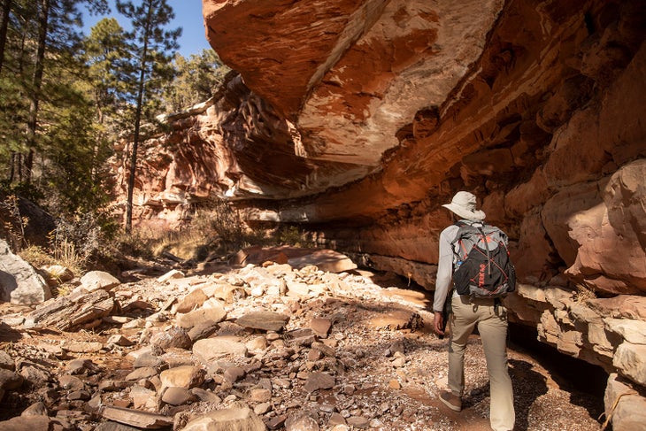 20191106_Albanese_UtahEC2019__1009 None