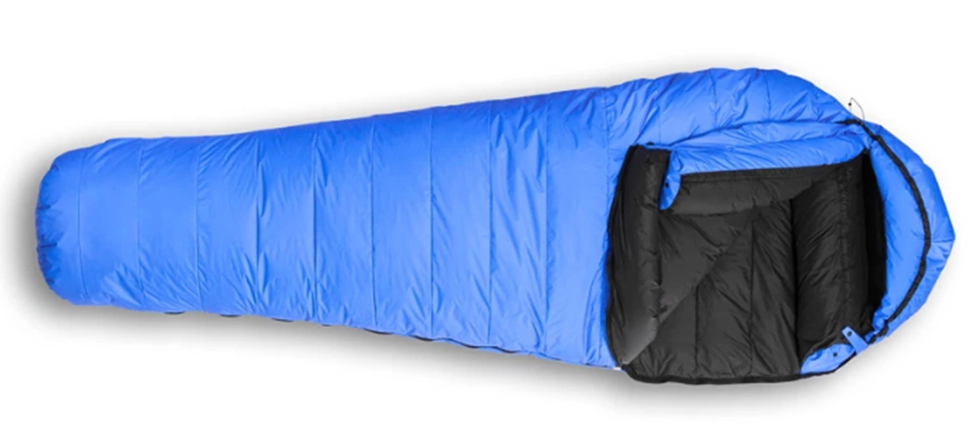 Feathered Friends Snowbunting Feathered Friends Snowbunting