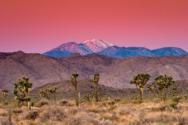 LA_NEW_SanGorgonioB809CP San Gorgonio
