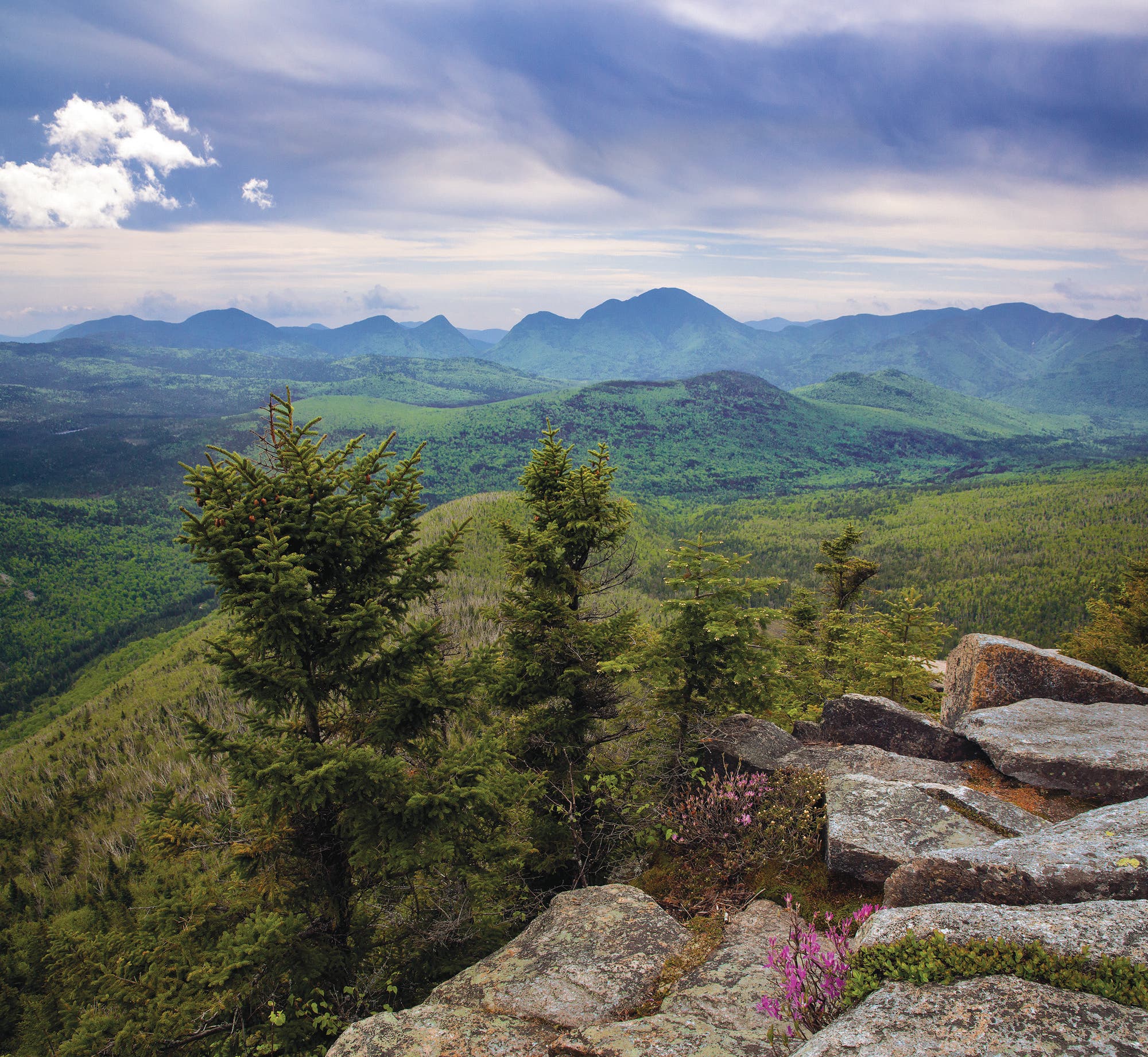 Mass_EthanPondHike_Lichtman None