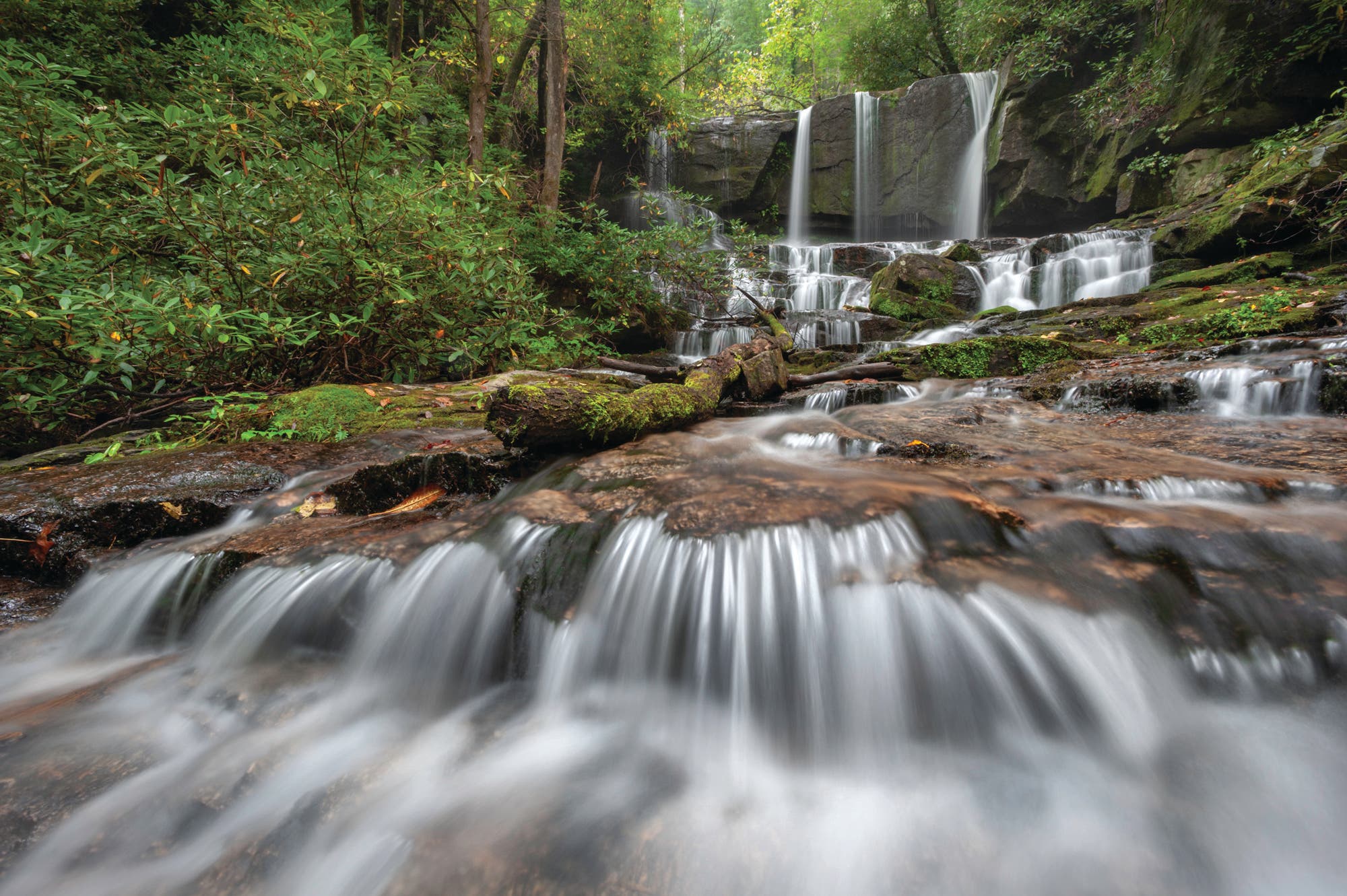 SouthCarolina_VANDYKEVirginiaHawkinsFalls None