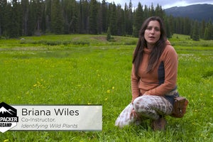 How to Harvest Roots and Rhizomes
