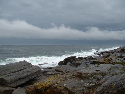 maine None