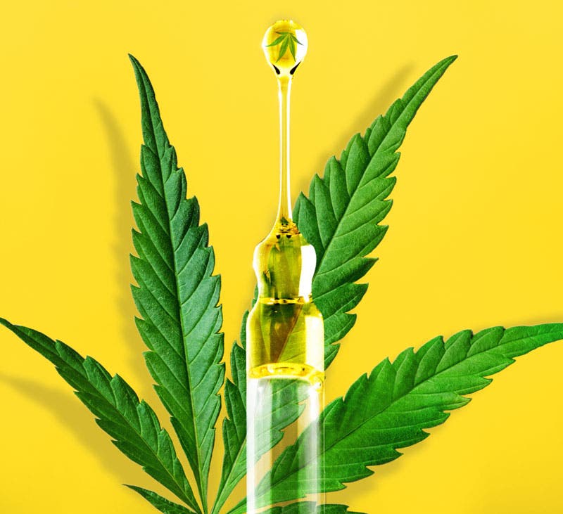 CBD 101: What You Need To Know