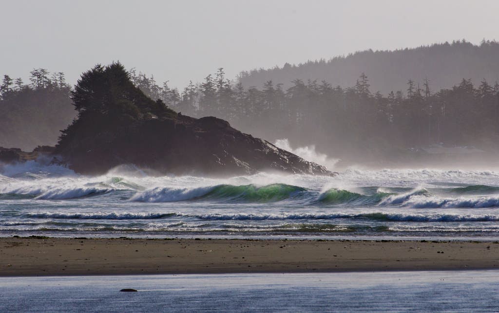 tofino surf None