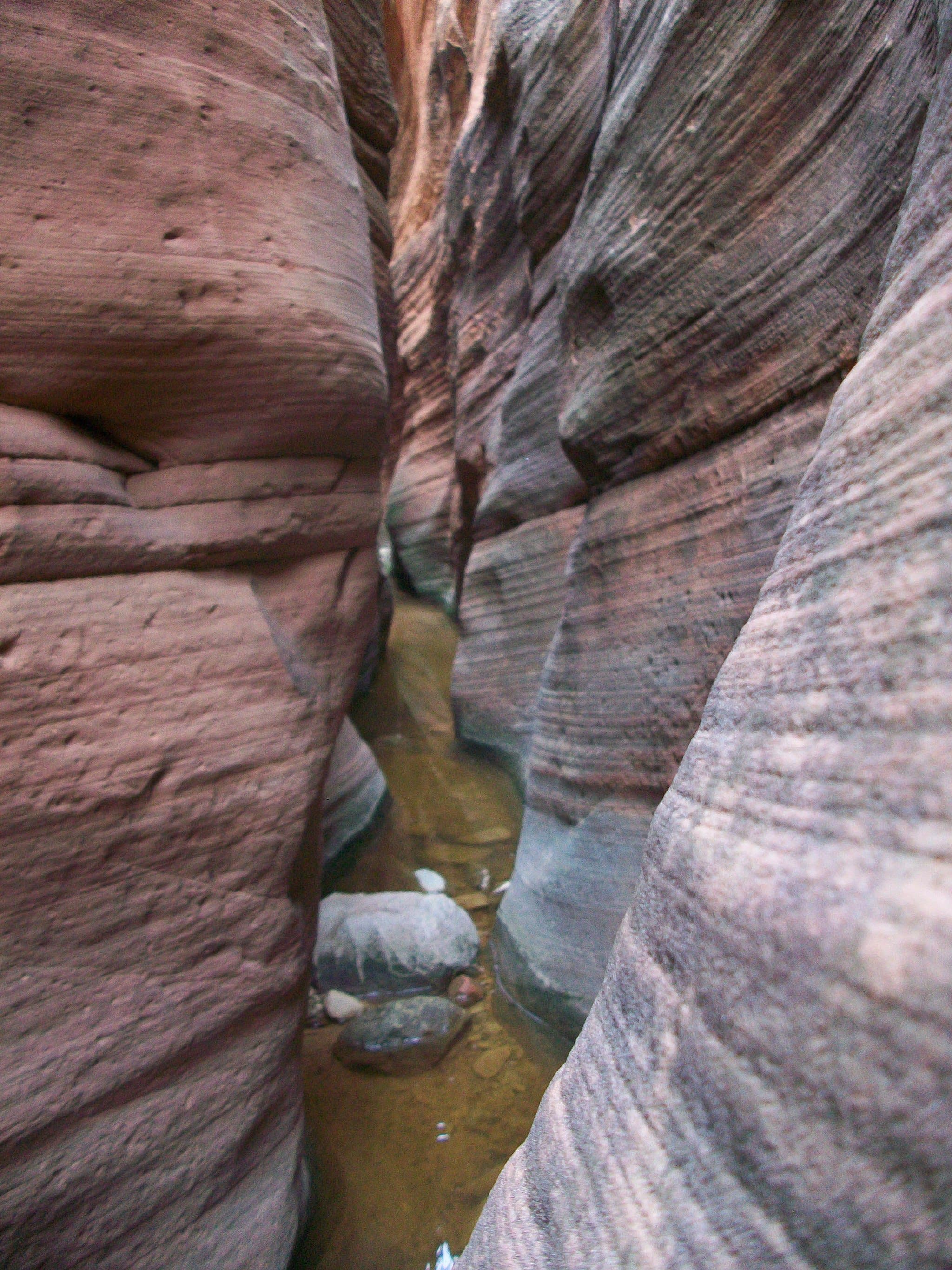 zion canyon