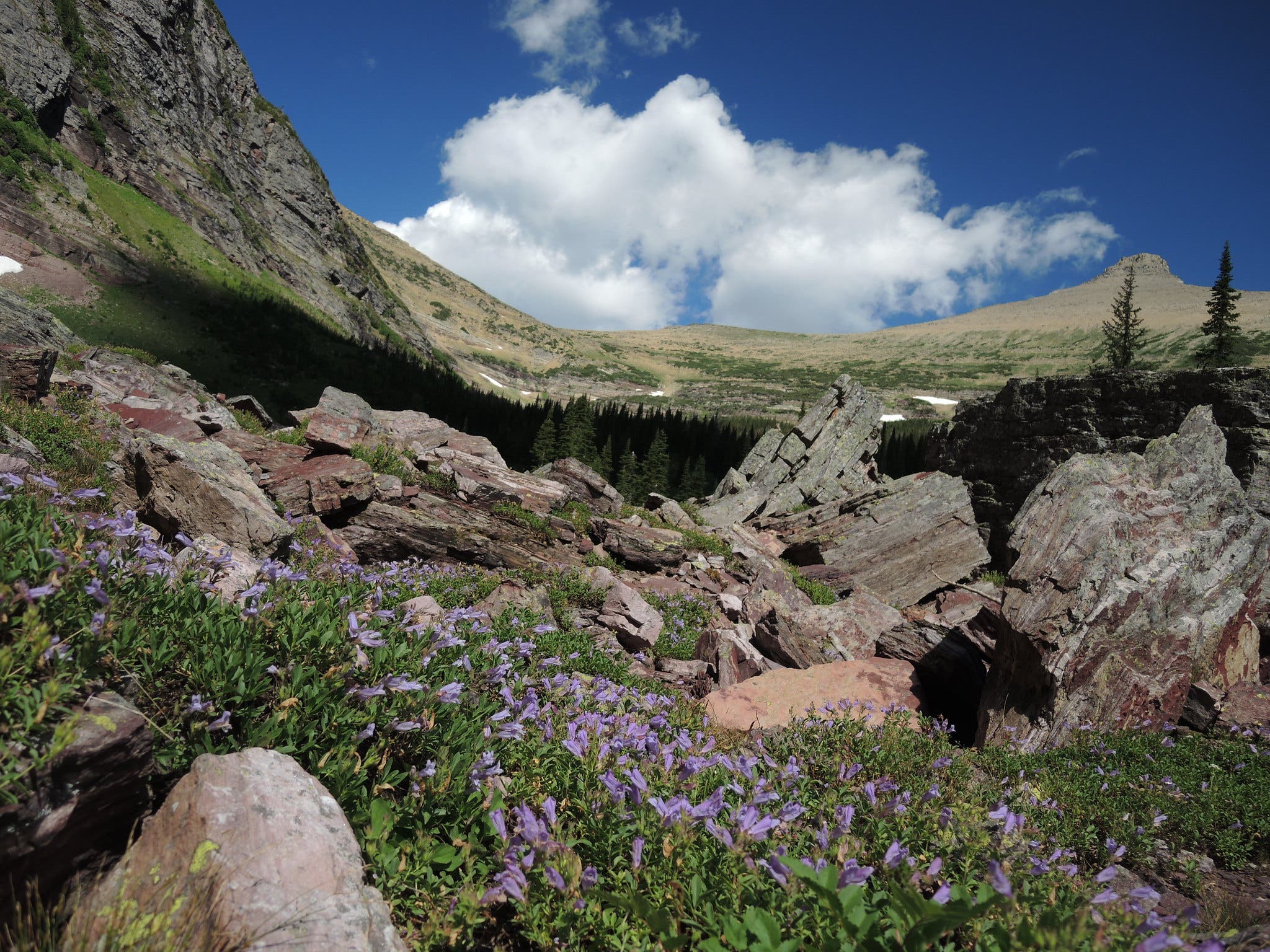 2020-trips-9 dawson and pitamakan passes