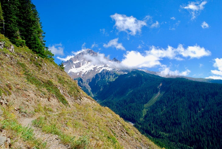 timberline trail rounding a hill with Mt Hood in the near distance