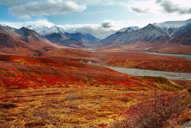 Eielson Mountain and the McKinley River. Denali National Park.