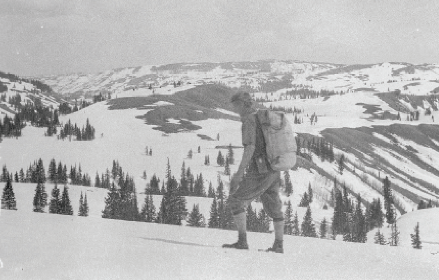 Screen Shot 2020-01-07 at 11.52.29 AM None