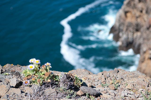 5279004216_7d10a32d45_z Views of the sea from Channel Islands. Photo by: Mike Boehmer