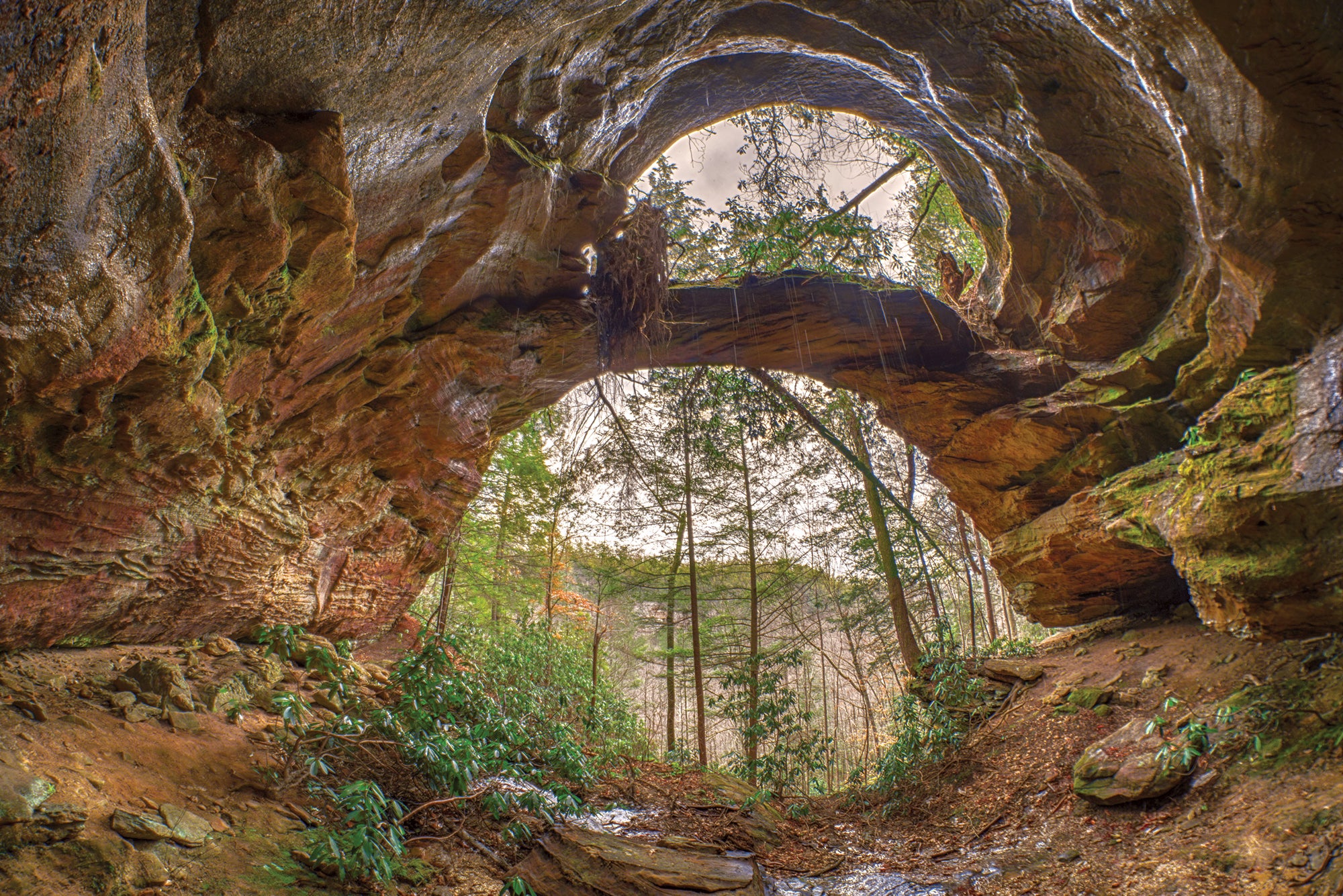 See a Rare Double Arch in the Red River Gorge