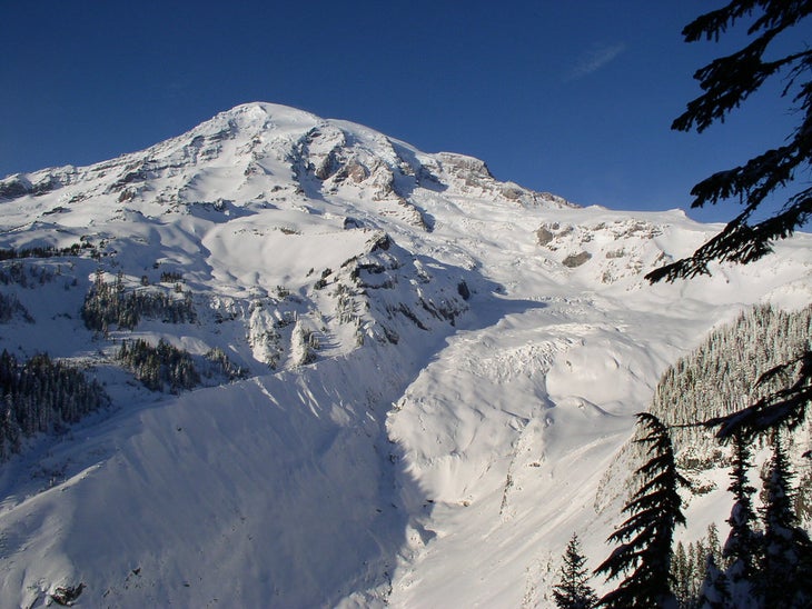 rainier None